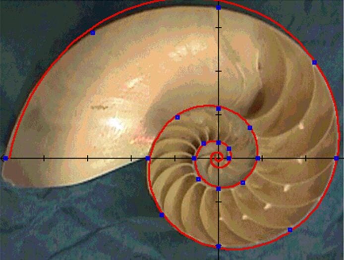 the goldenratio